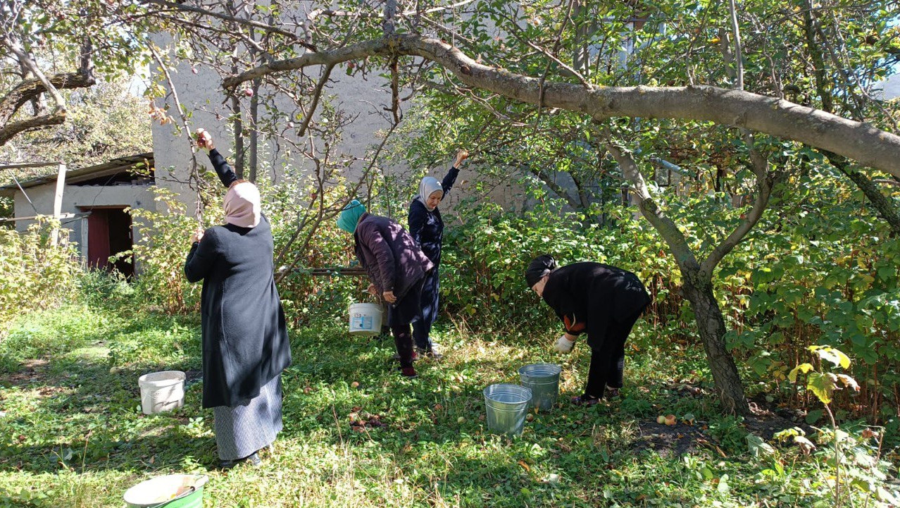 Социальная неотложка